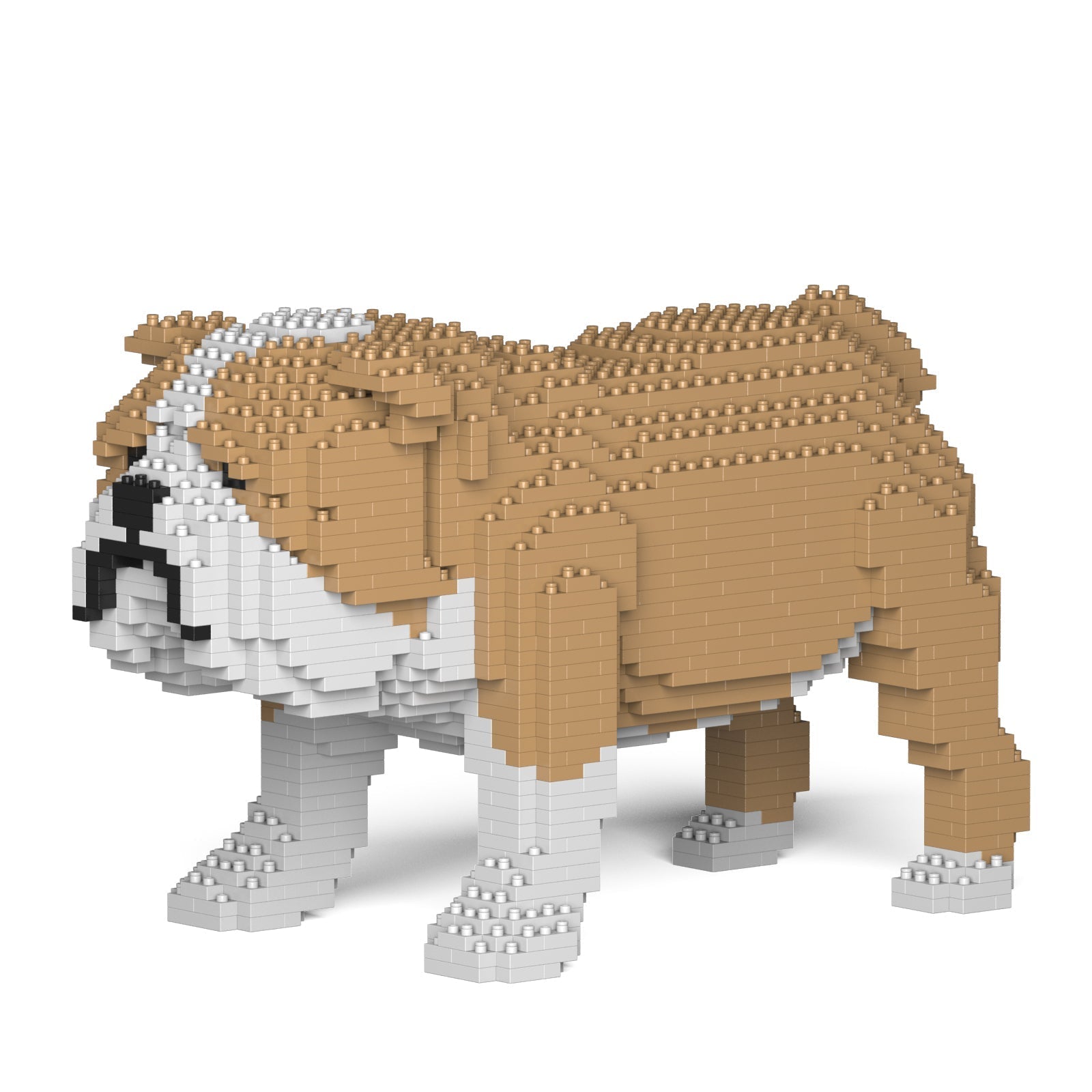 English Bulldog 01-M03 – JEKCA US