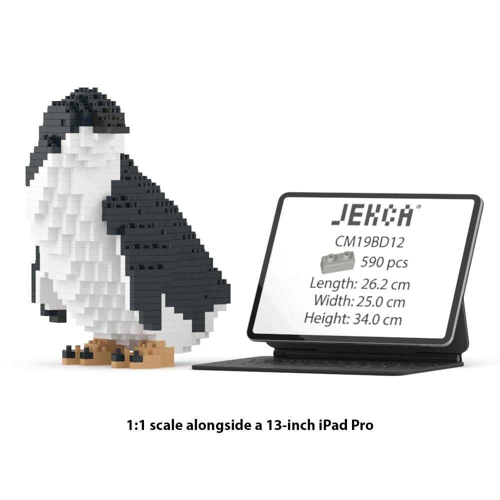 Little Penguin 02