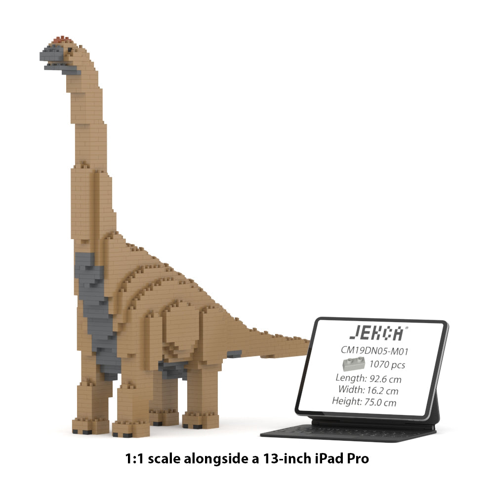 Brachiosaurus 01S-M01