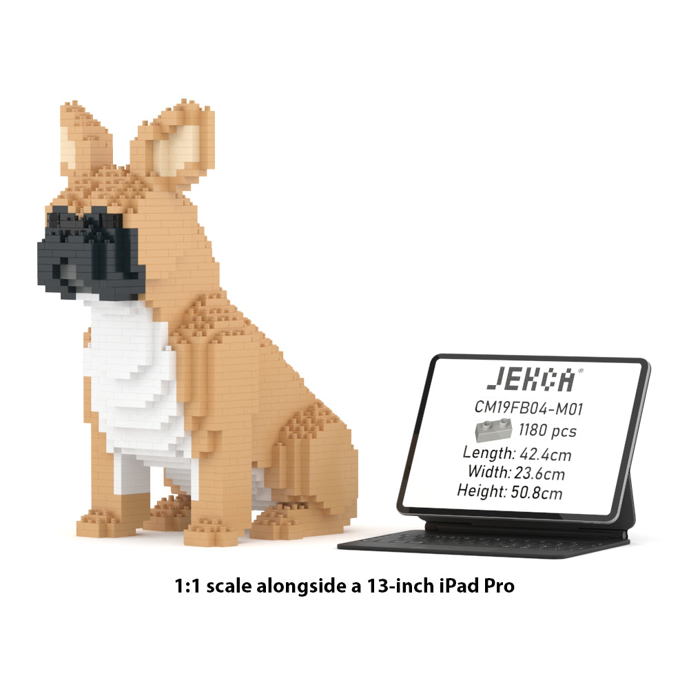 French Bulldog 04-M01