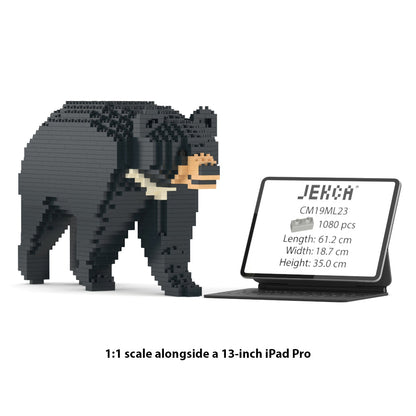 Formosan Black Bear 01