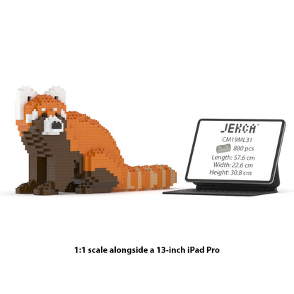 Red Panda 01