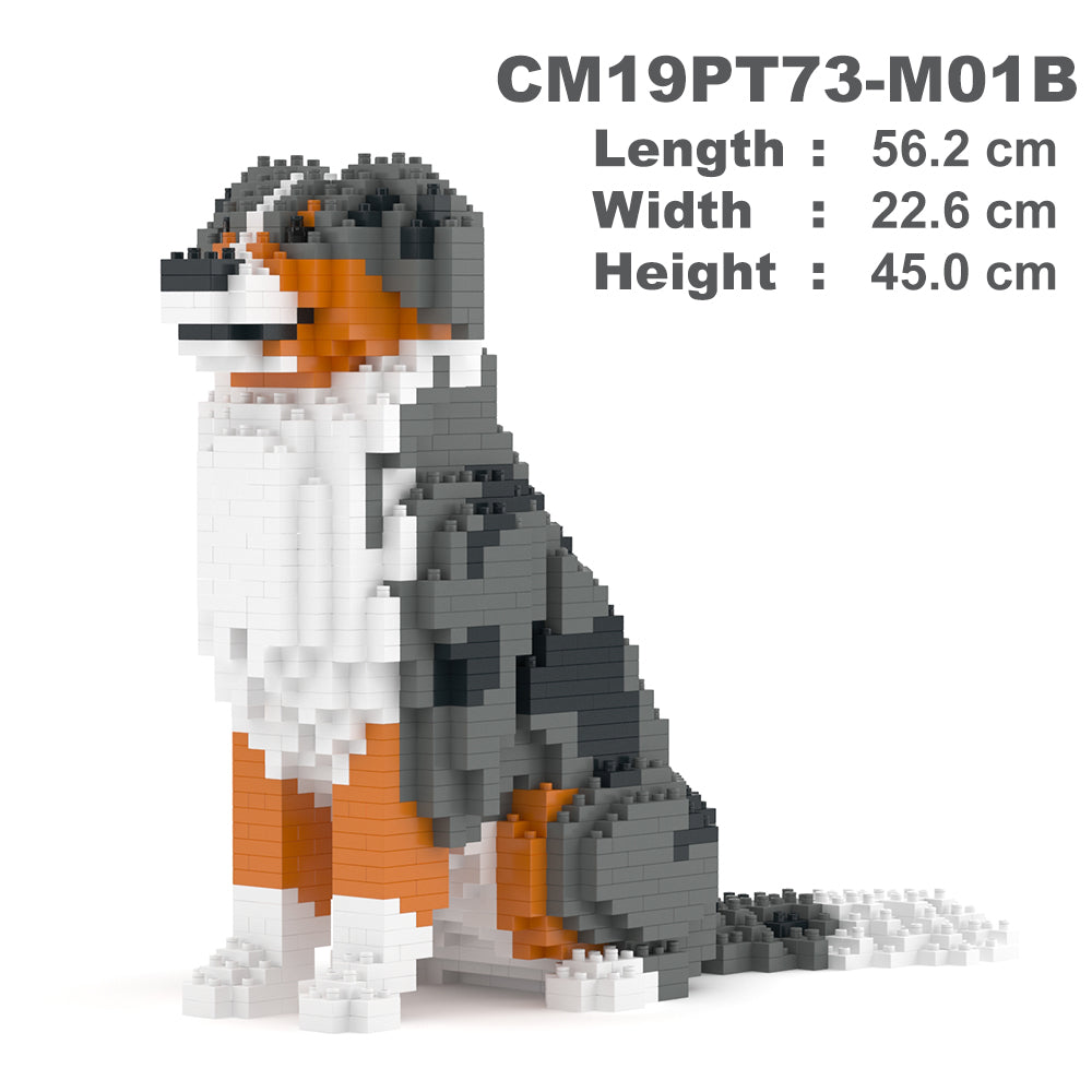 Australian Shepherd 01-M01B (Version 2025)