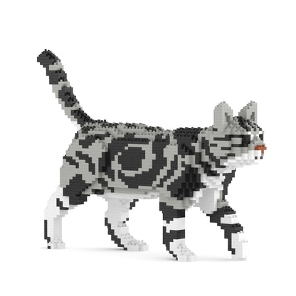 American Shorthair Cat 02S-M01B (Version 2024)