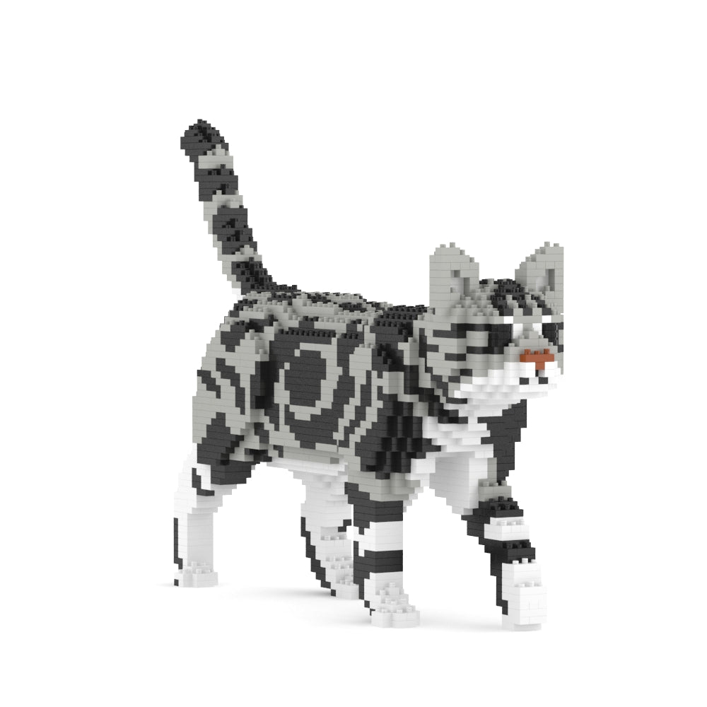 American Shorthair Cat 02S-M01B (Version 2024)