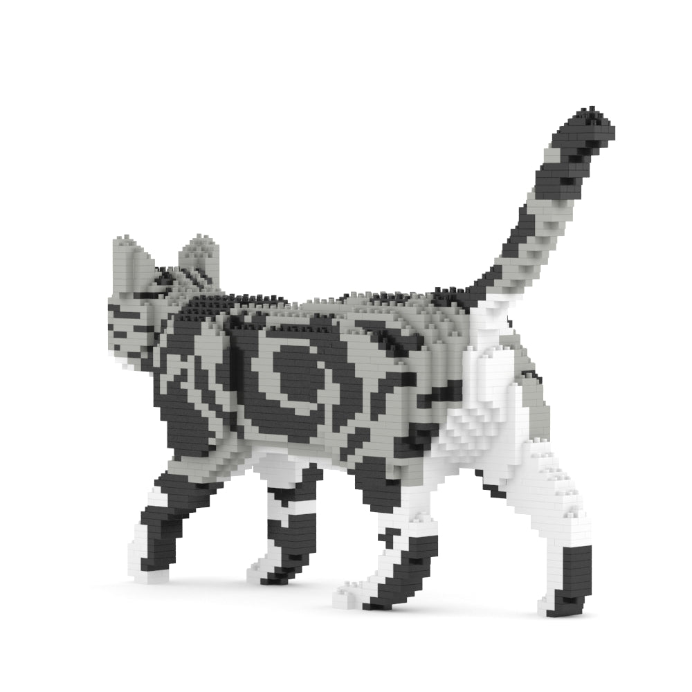 American Shorthair Cat 02S-M01B (Version 2024)