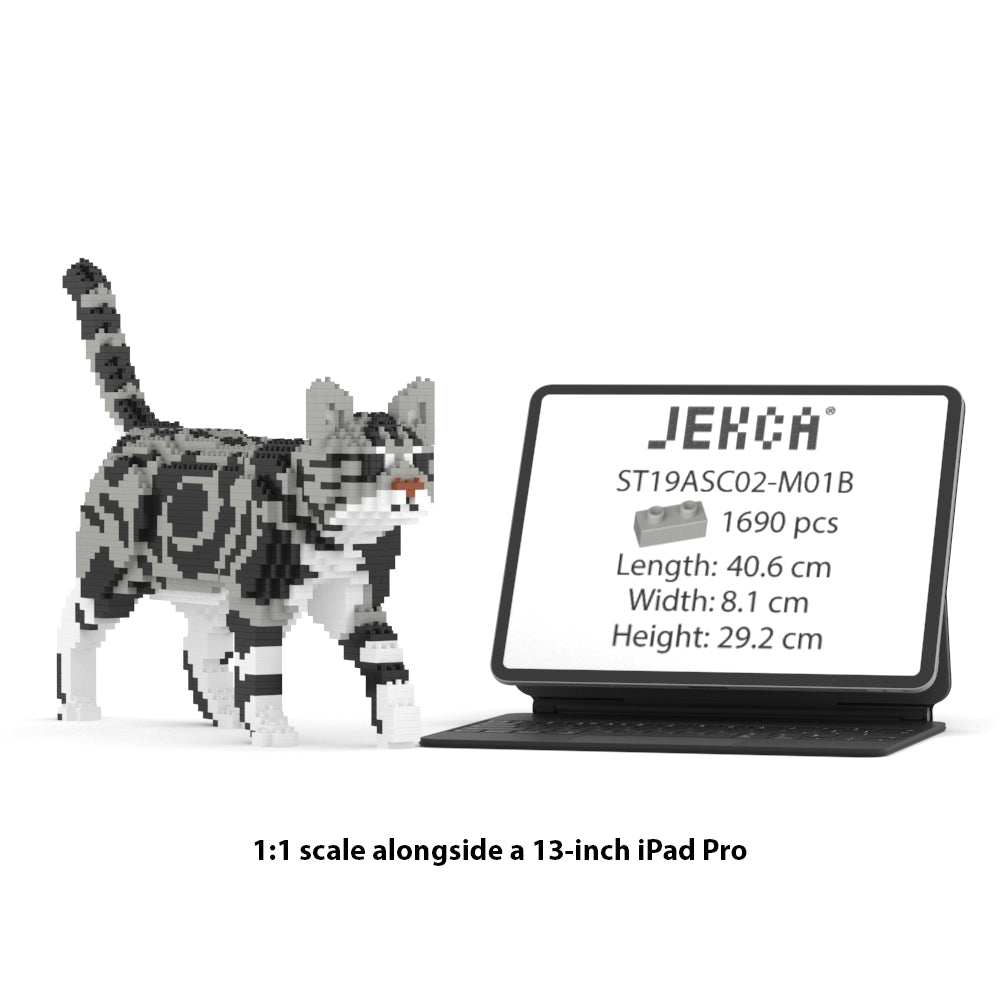 American Shorthair Cat 02S-M01B (Version 2024)