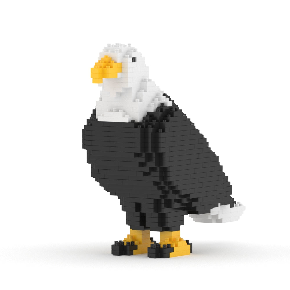 Bald Eagle 01