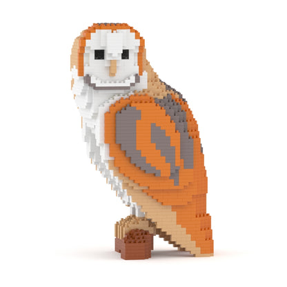 Barn Owl 01