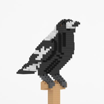 Australian Magpie 01S