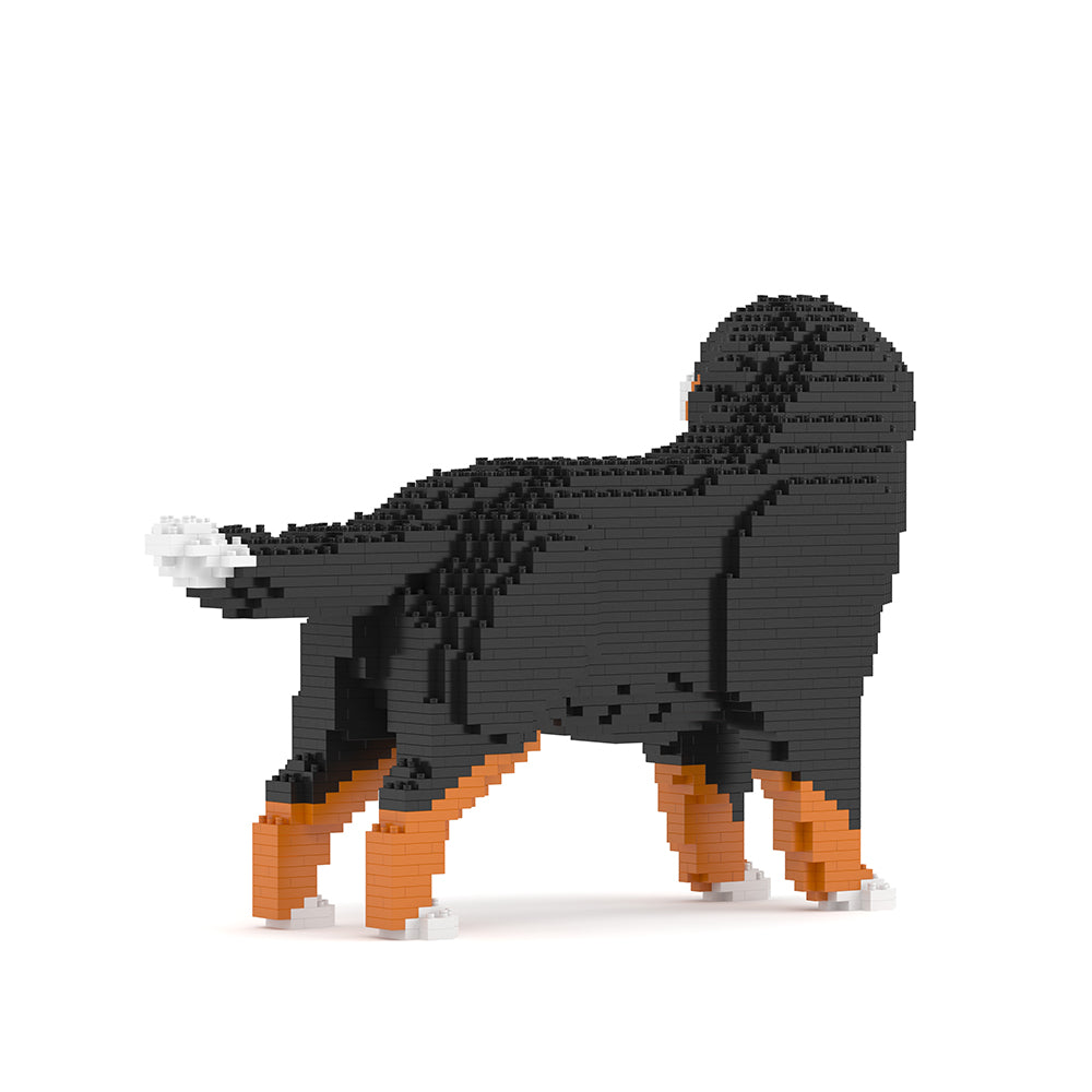 Bernese Mountain Dog 03B (version 2024) - Bigger Size