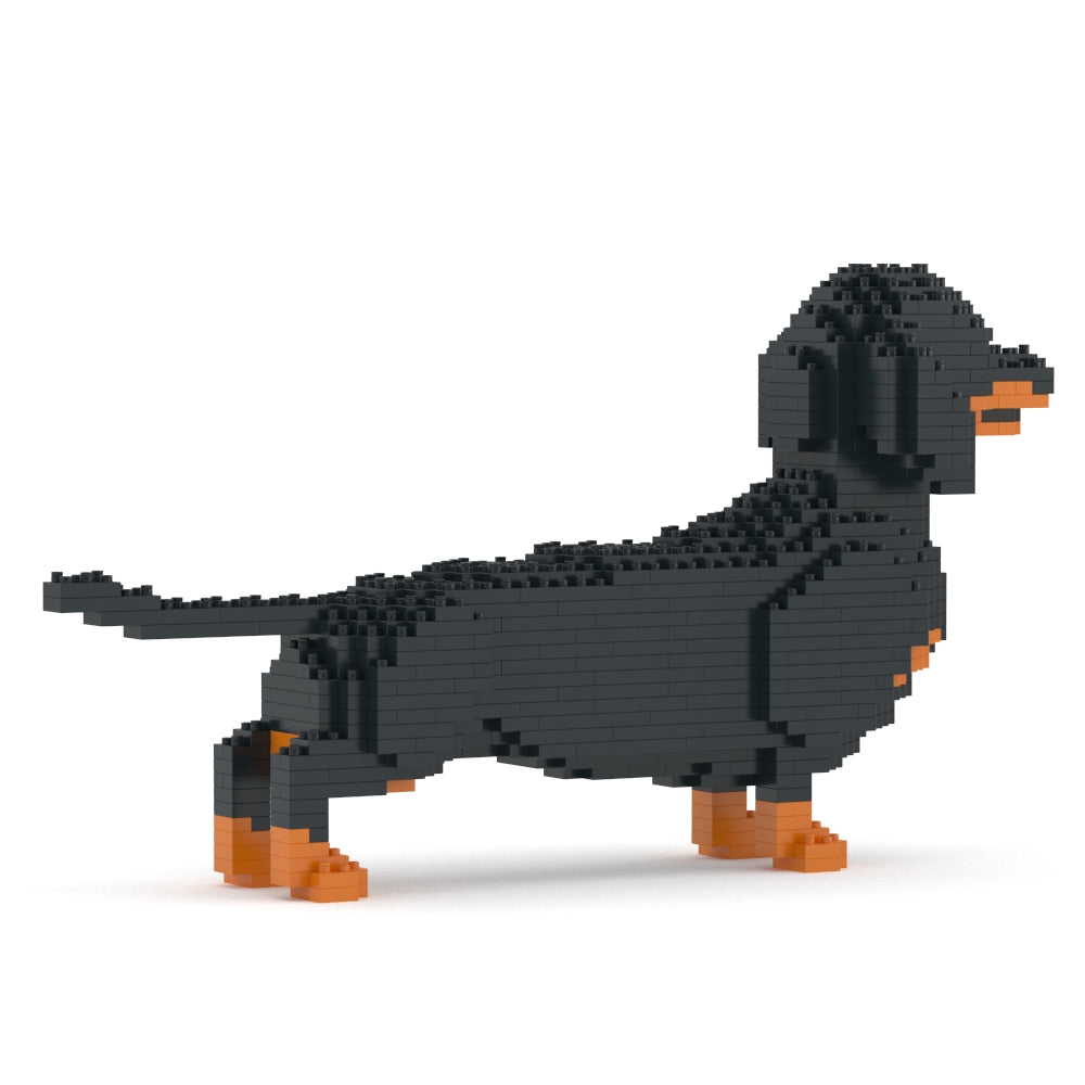 Dachshund 02-M01