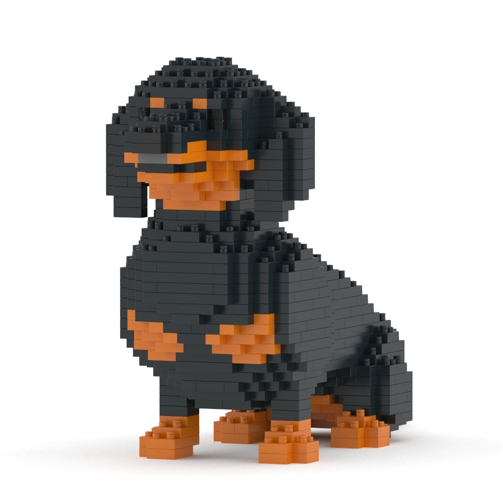 Dachshund 03-M01