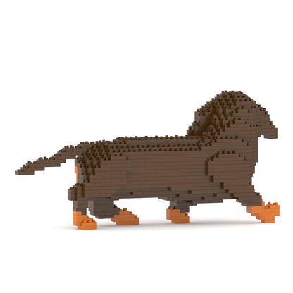 Dachshund 06-M02