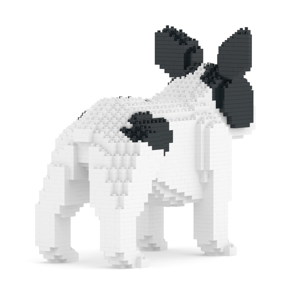 French Bulldog 02-M04