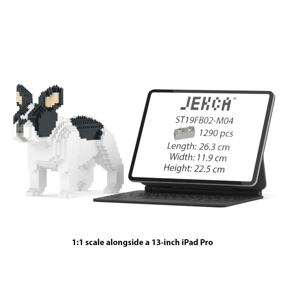 French Bulldog 02-M04