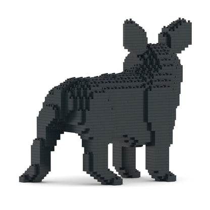 French Bulldog 03-M03