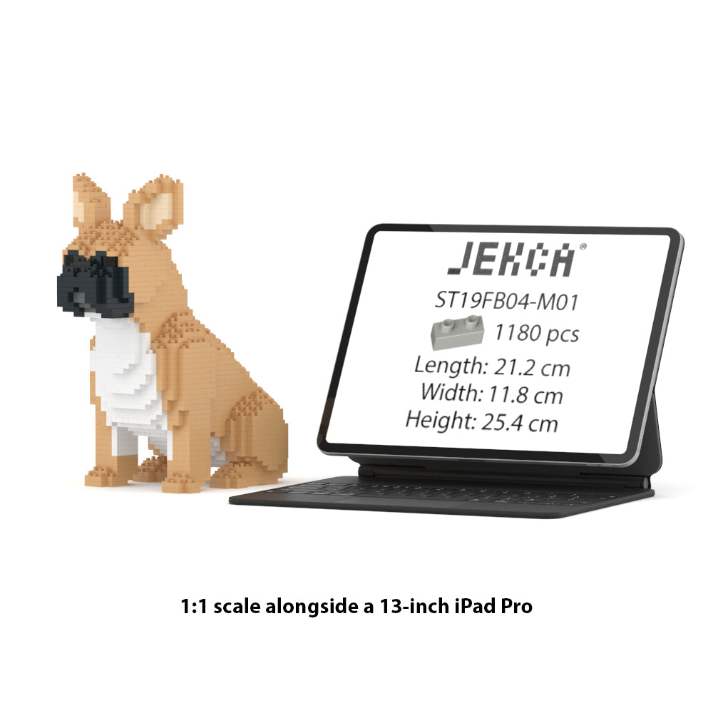 French Bulldog 04-M01