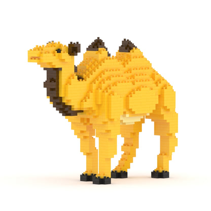 Camel 01