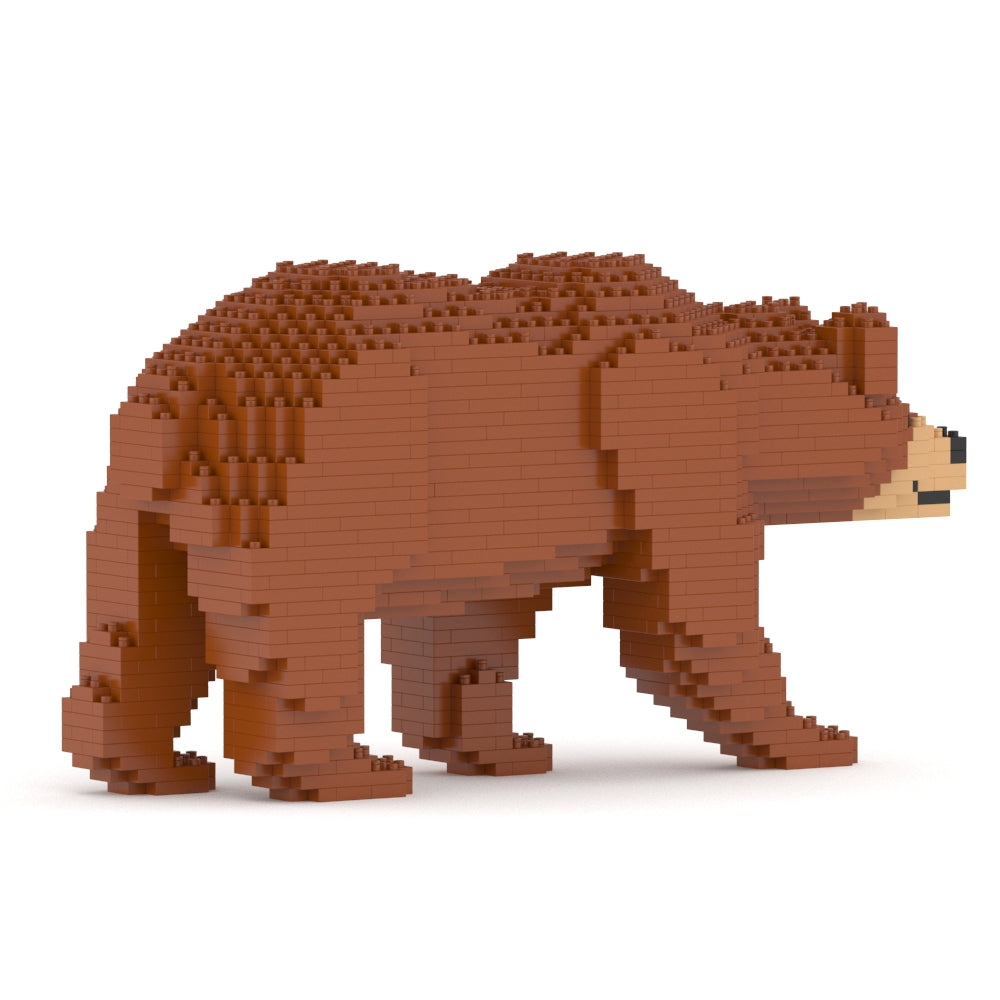 Brown Bear 01