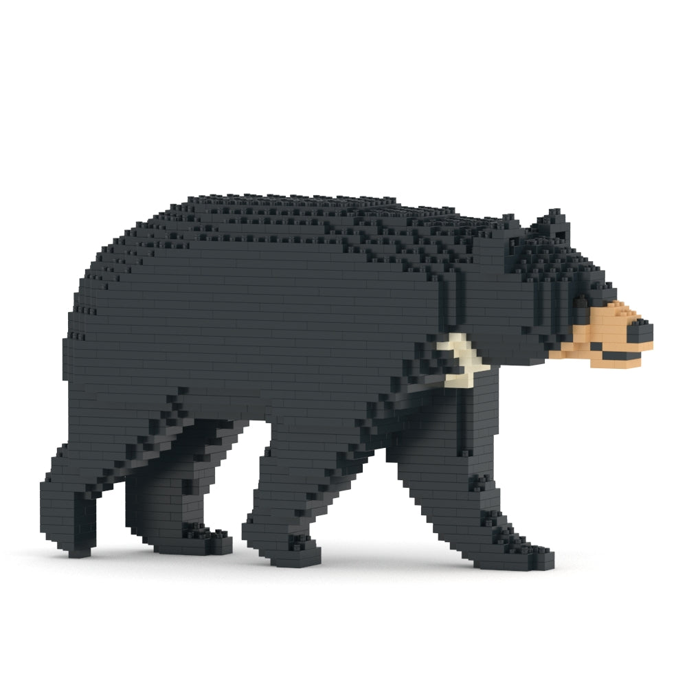 Formosan Black Bear 01