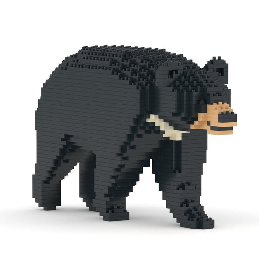 Formosan Black Bear 01