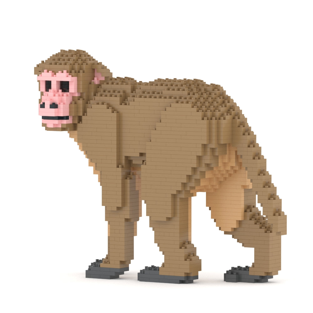 Monkey 01