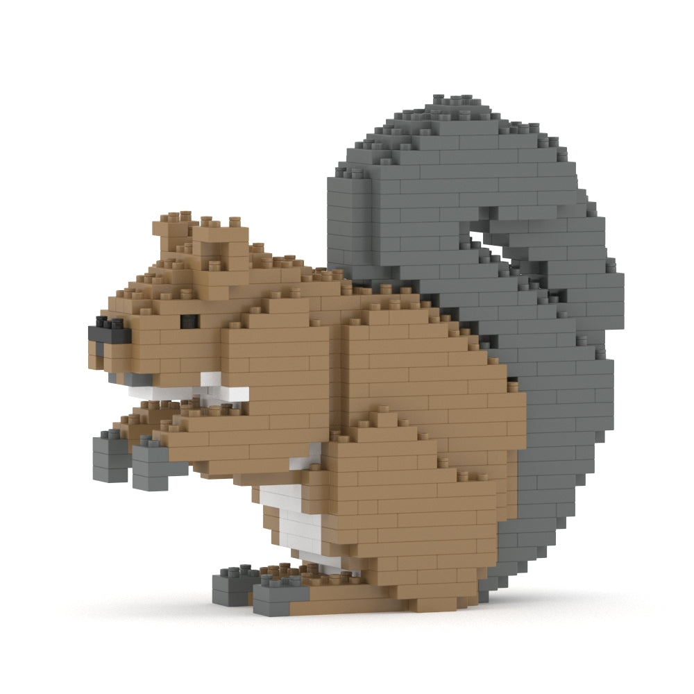 Squirrel 01