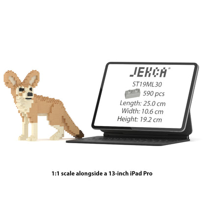 Fennec Fox 01