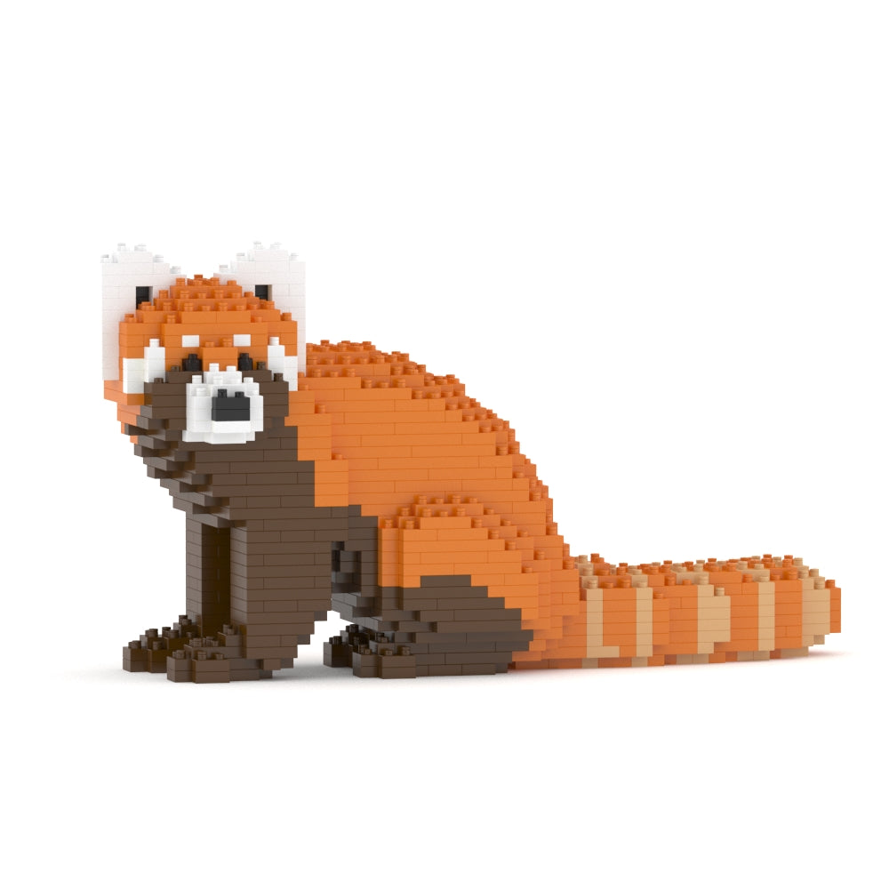 Red Panda 01