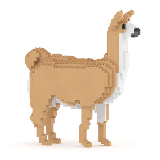 Llama 01