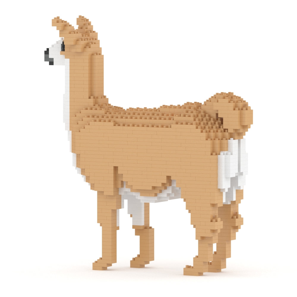 Llama 01