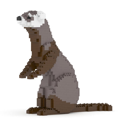 Ferret 01