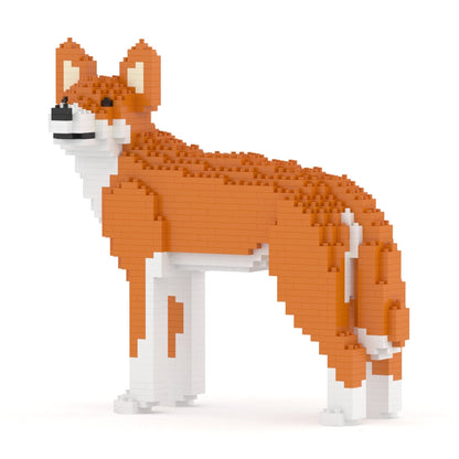 Dingo 01