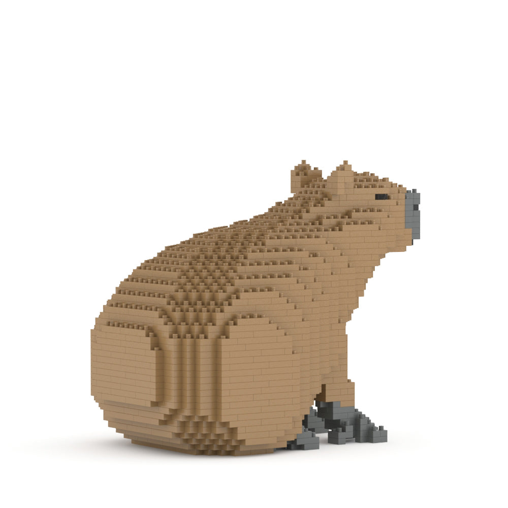 Capybara 01