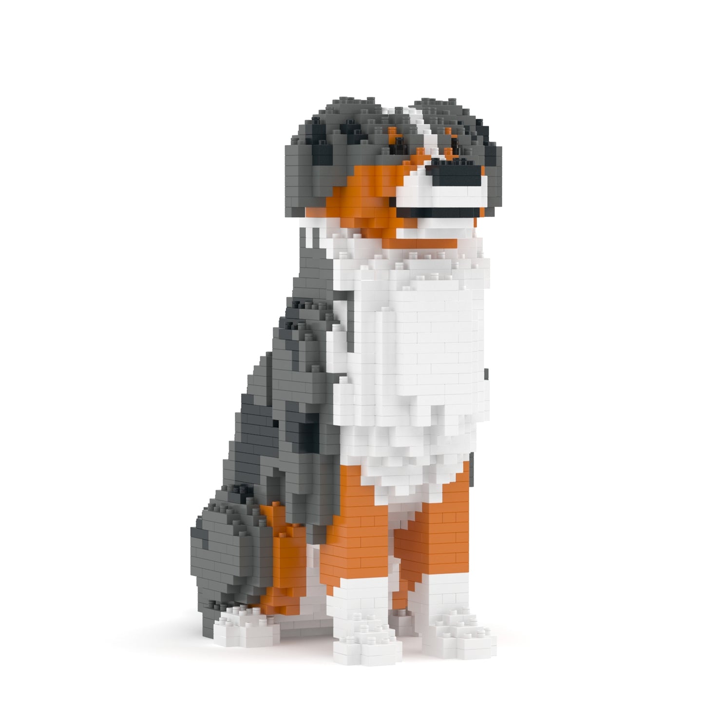 Australian Shepherd 01-M01B (Version 2025)