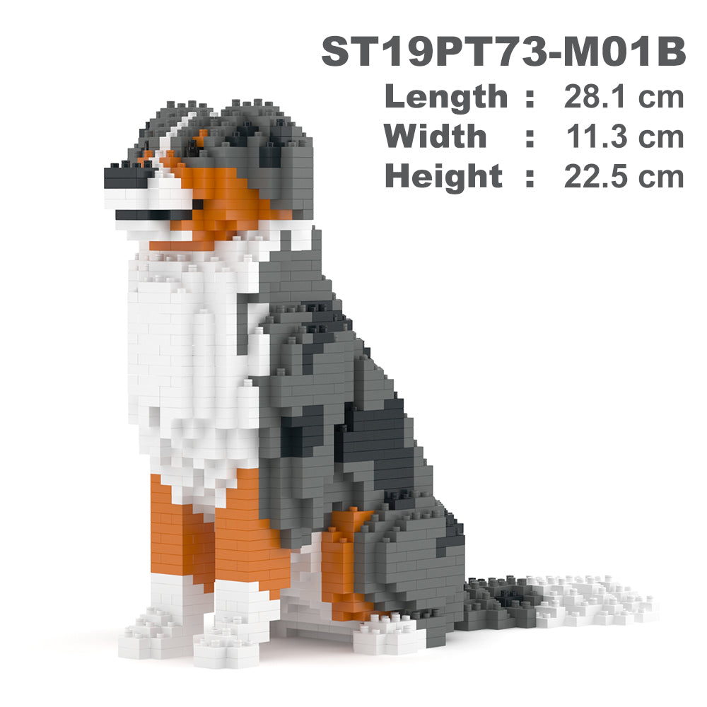 Australian Shepherd 01-M01B (Version 2025)