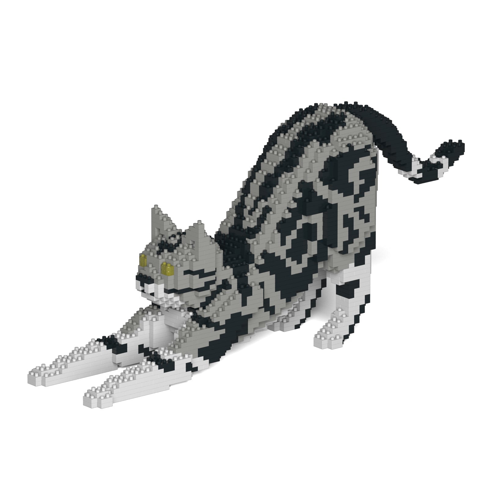 American Shorthair Cat 04S-M01 – JEKCA US