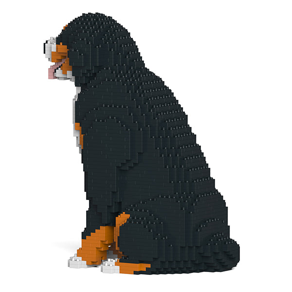 Bernese Mountain Dog 04 – JEKCA US