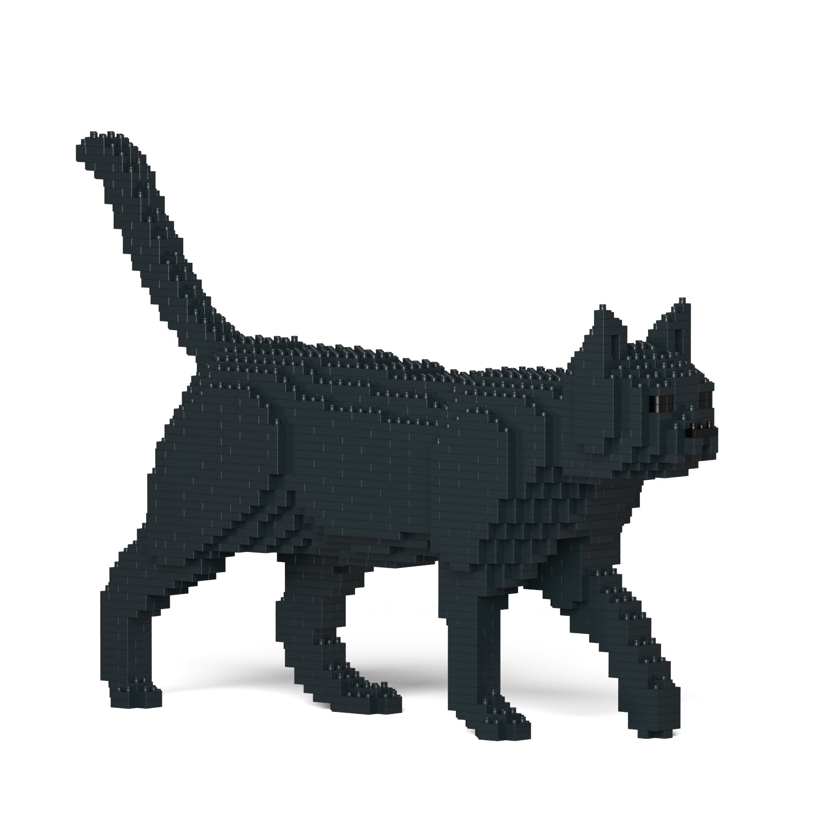 Black Cat – JEKCA US