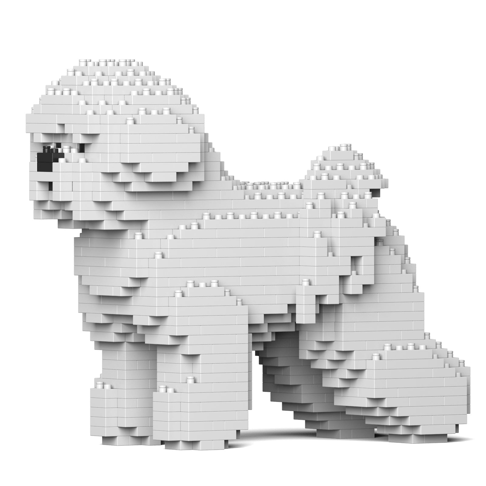 Bichon Frise – JEKCA US