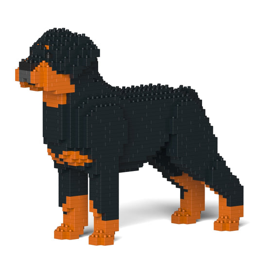 Rottweiler 01